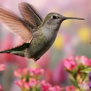 Meet your Posher, Alecia